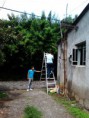 /album/fotogaleria-mantenimiento/a2013-08-28-11-36-00-393-jpg/