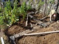 /album/fotogaleria-remodelacion-y-construccion/dsc00554-jpg/